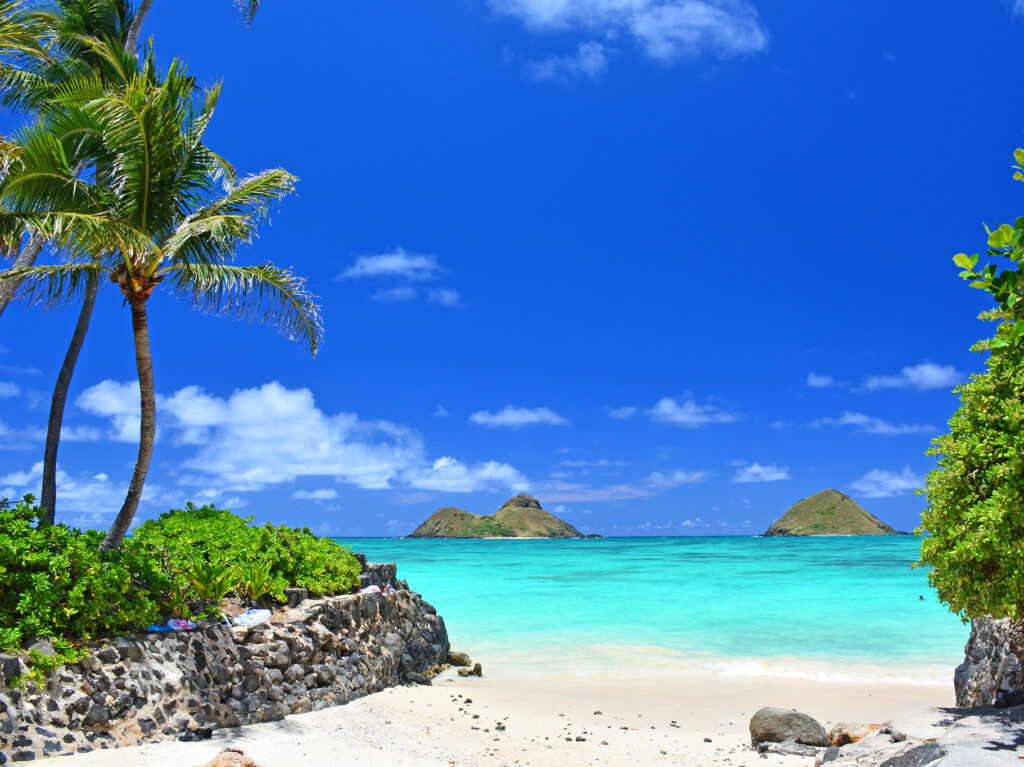 Beach Vacations in the USA: The Ultimate 2026 Guide to Best Beaches, Tips & Relaxation