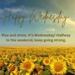 happy wednesday blessings